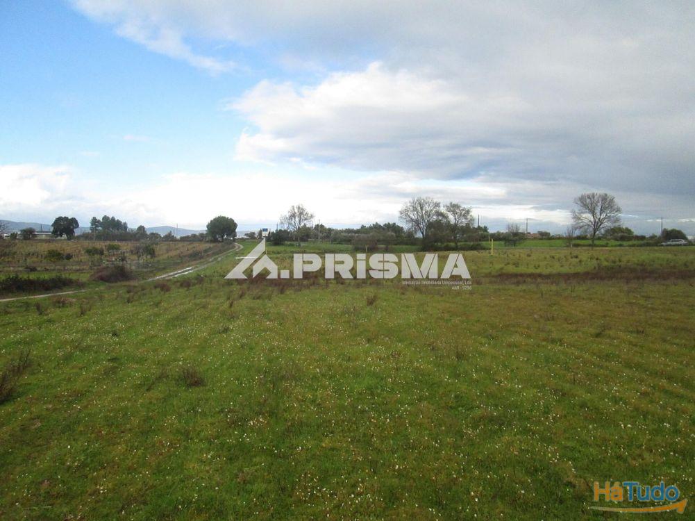 Terreno R�stico � Venda na Lardosa