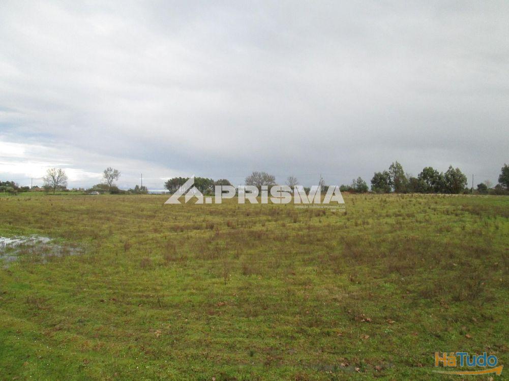 Terreno R�stico � Venda na Lardosa