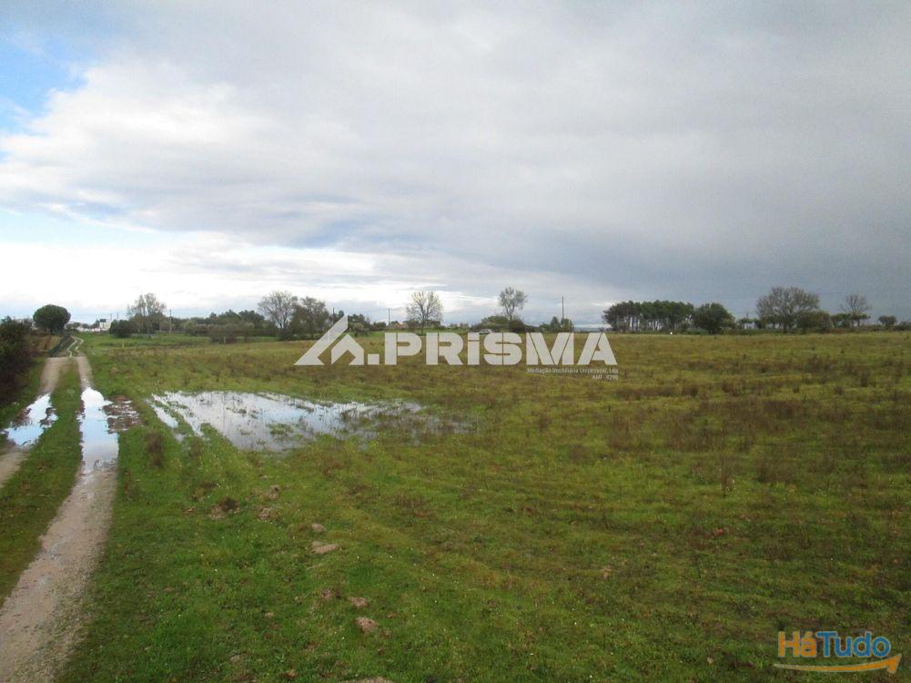 Terreno R�stico � Venda na Lardosa