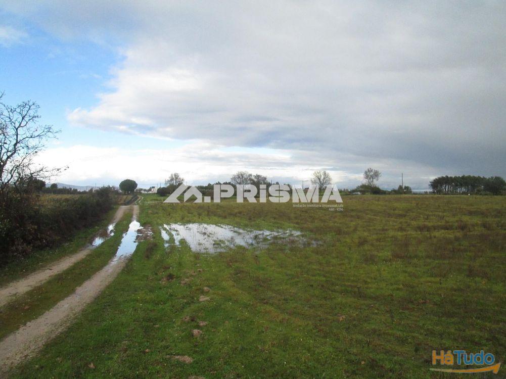 Terreno R�stico � Venda na Lardosa