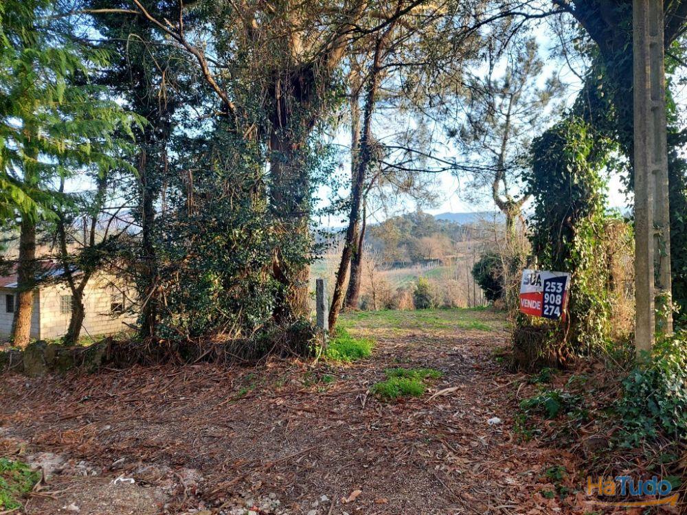 Terreno Agrcola - Figueiredo