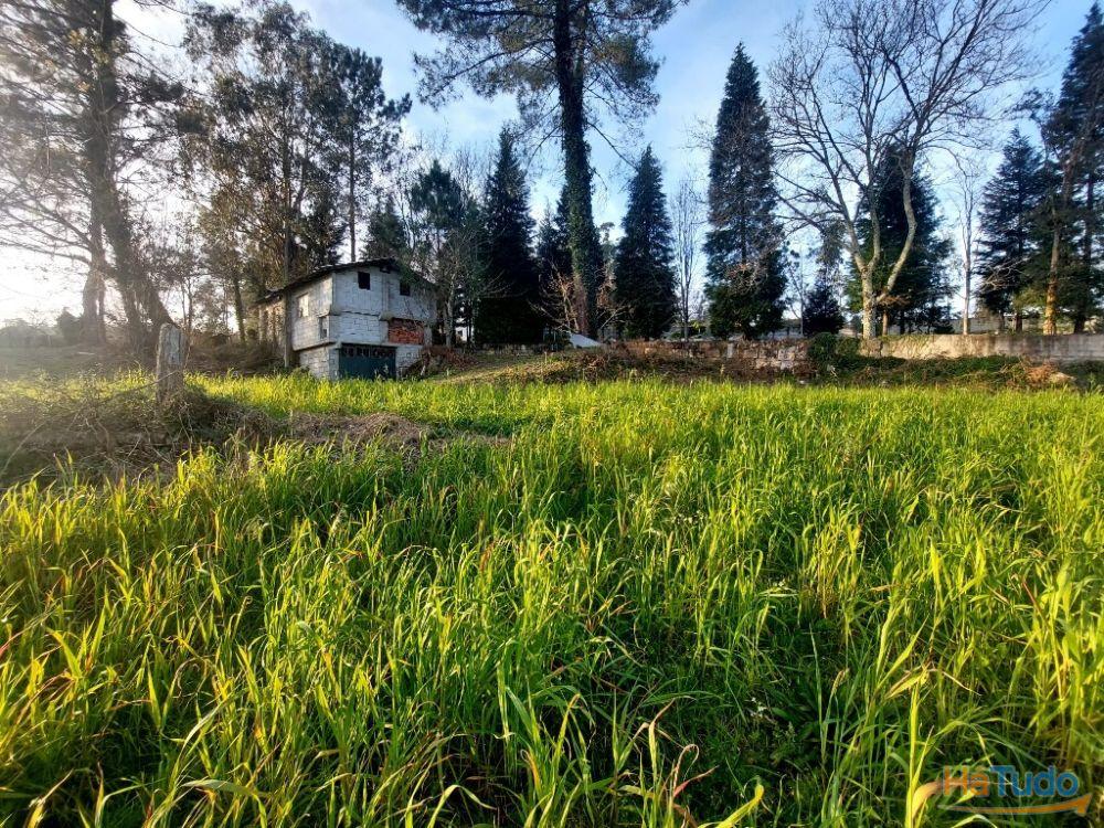 Terreno Agrcola - Figueiredo