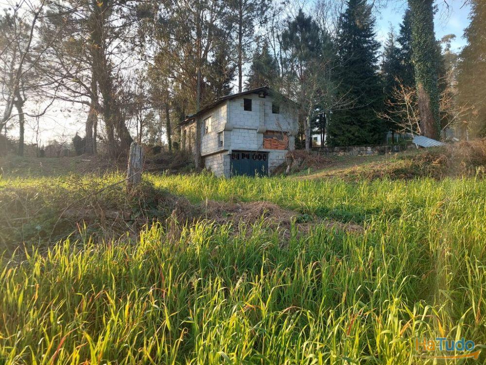 Terreno Agrcola - Figueiredo