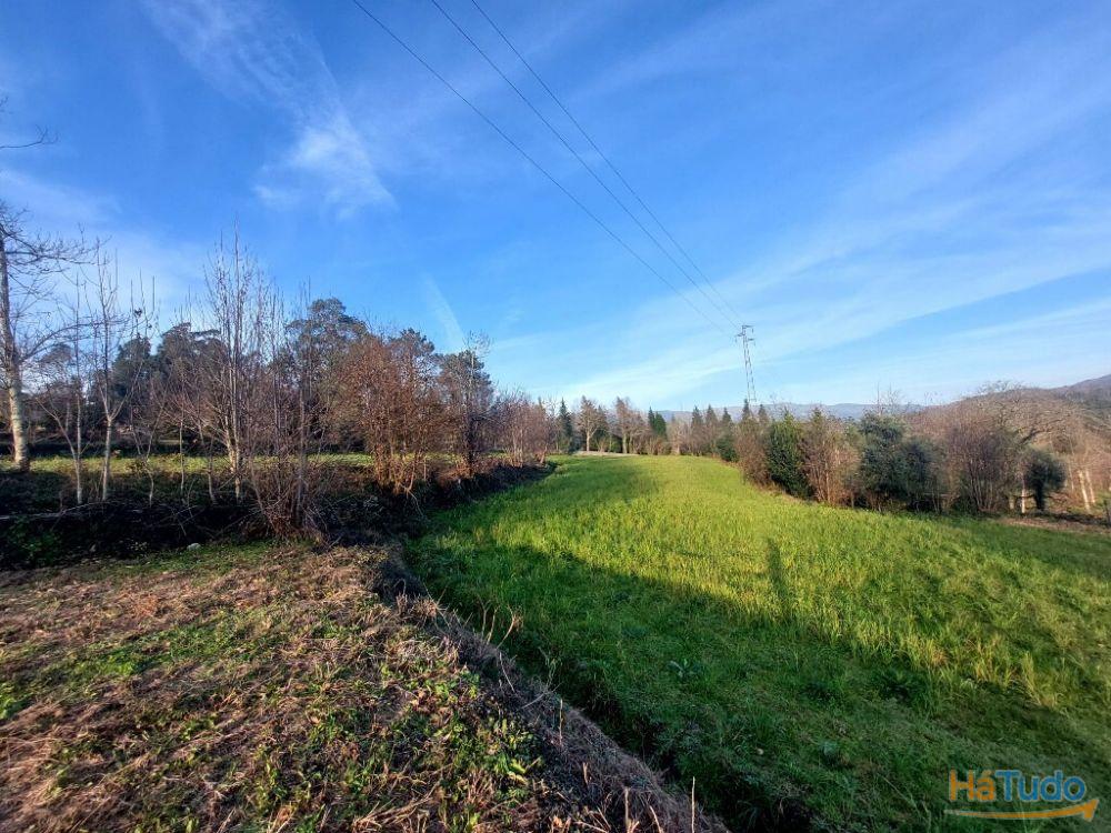 Terreno Agrcola - Figueiredo