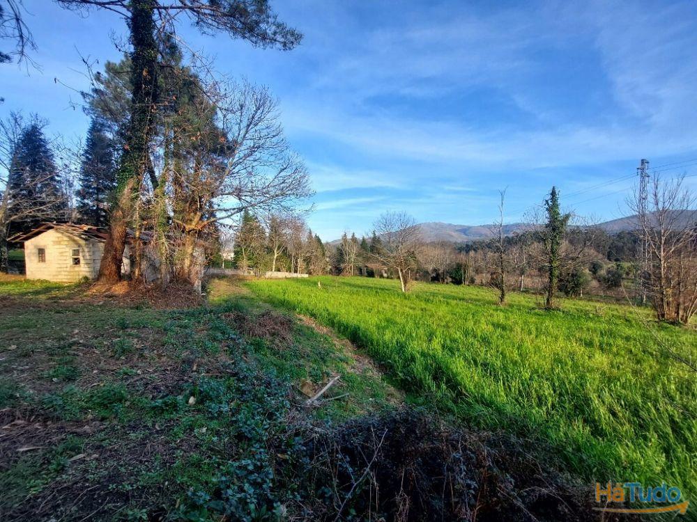 Terreno Agrcola - Figueiredo