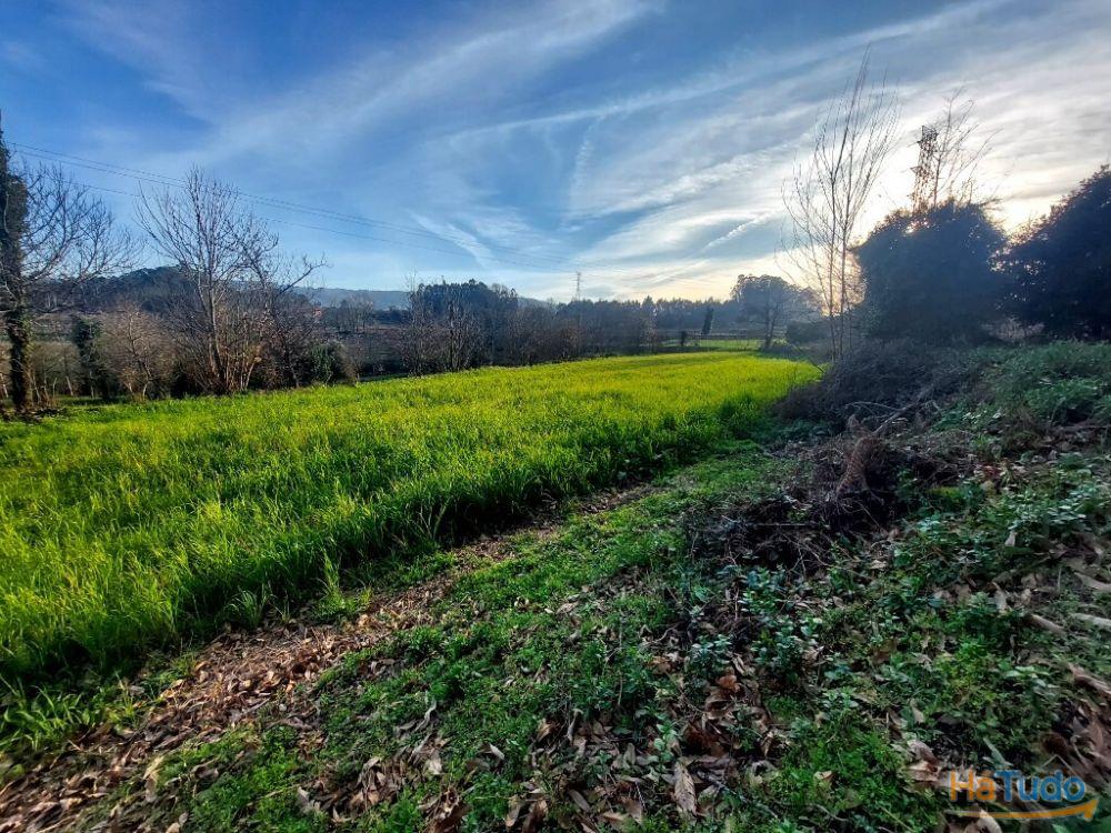 Terreno Agrcola - Figueiredo