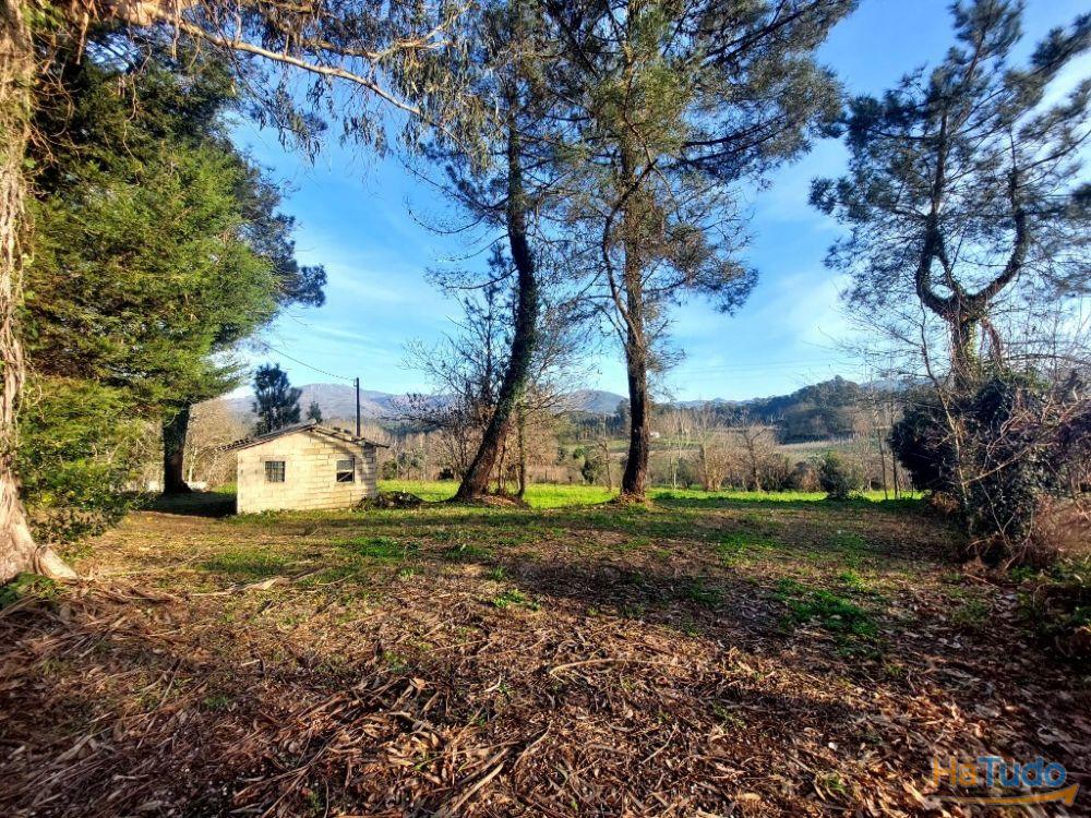 Terreno Agrcola - Figueiredo