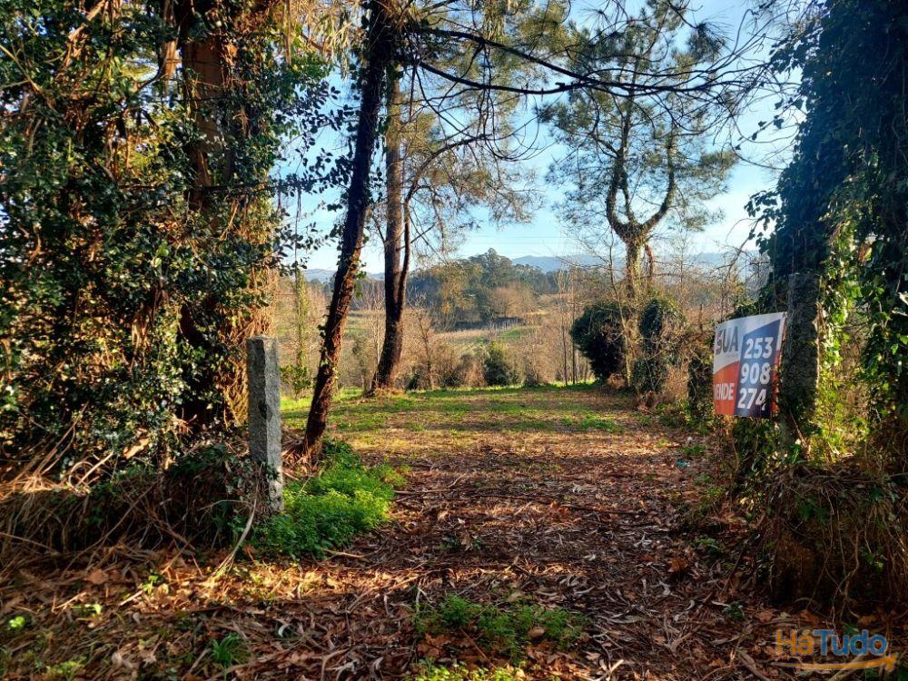 Terreno Agrcola - Figueiredo