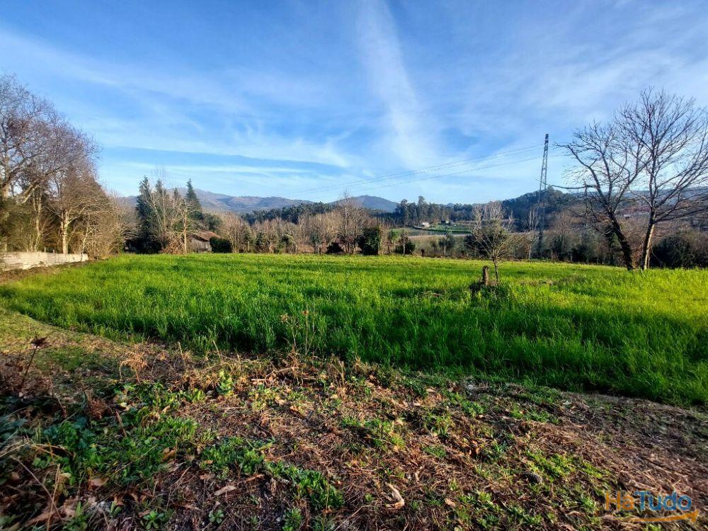 Terreno Agrcola - Figueiredo