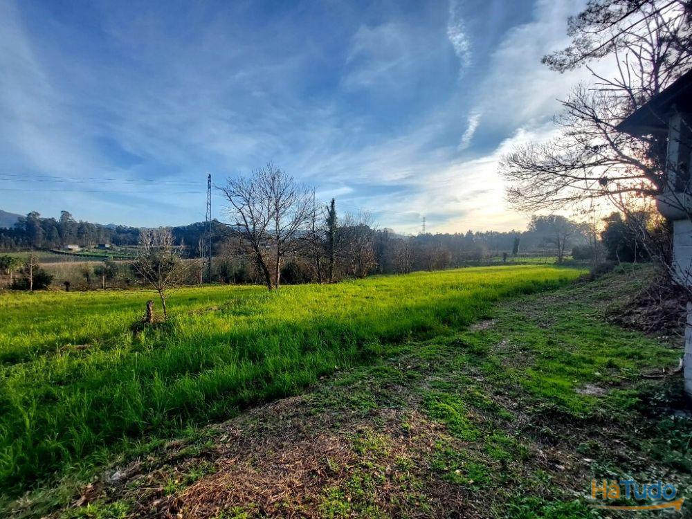 Terreno Agrcola - Figueiredo