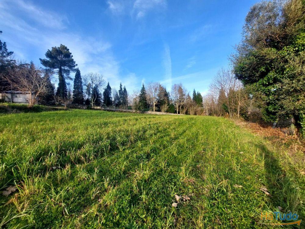 Terreno Agrcola - Figueiredo