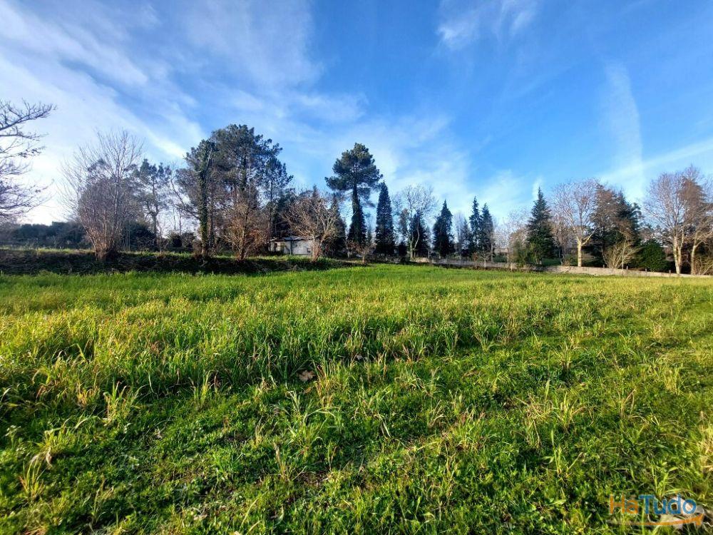 Terreno Agrcola - Figueiredo