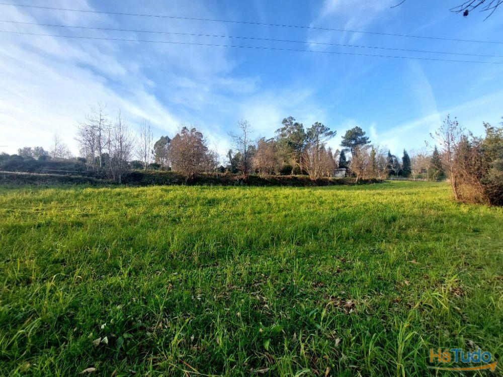 Terreno Agrcola - Figueiredo
