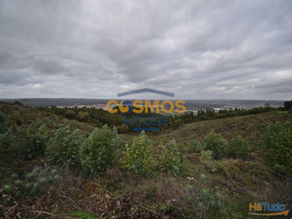 Terreno c/ 12780 m2 a 12Km Nazar�