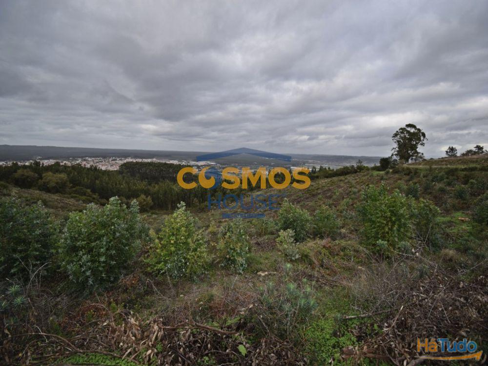 Terreno c/ 12780 m2 a 12Km Nazar�