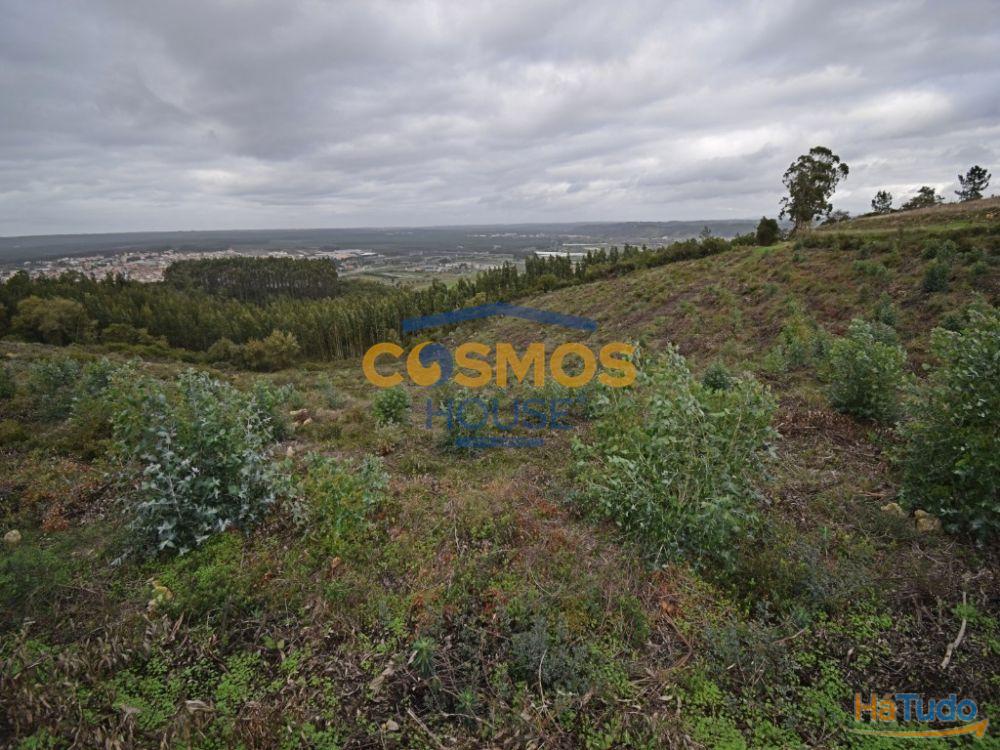 Terreno c/ 12780 m2 a 12Km Nazar�