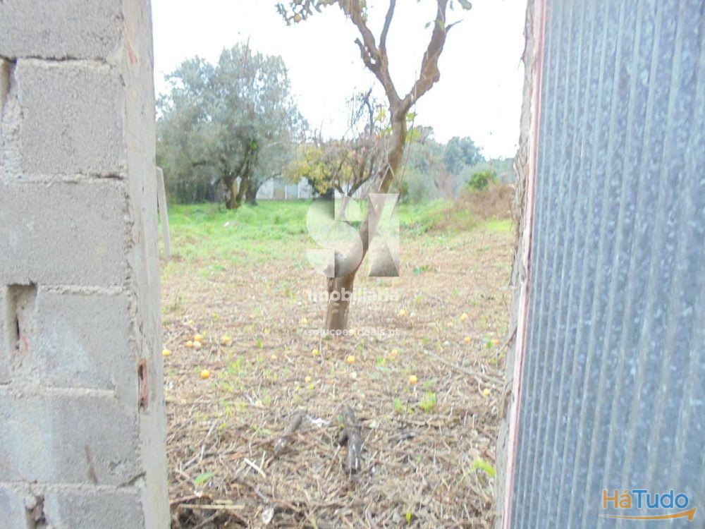 Moradia p/ Restaurar - Ervideira