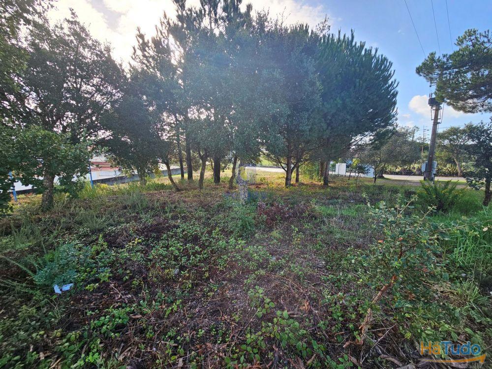 Terreno para construo no Nadadouro