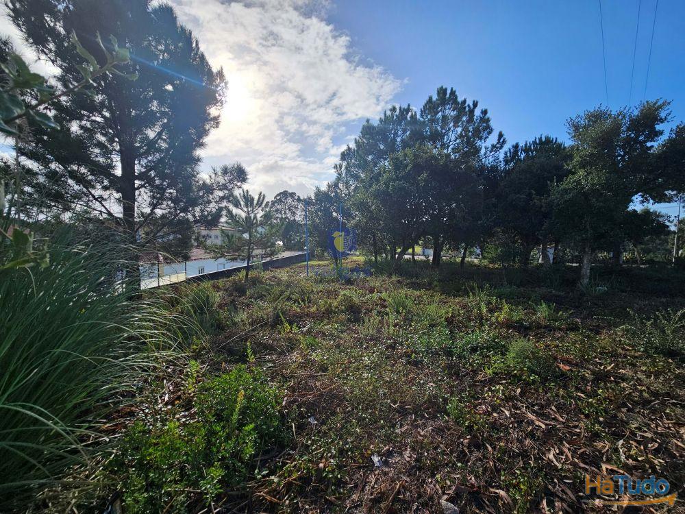 Terreno para construo no Nadadouro