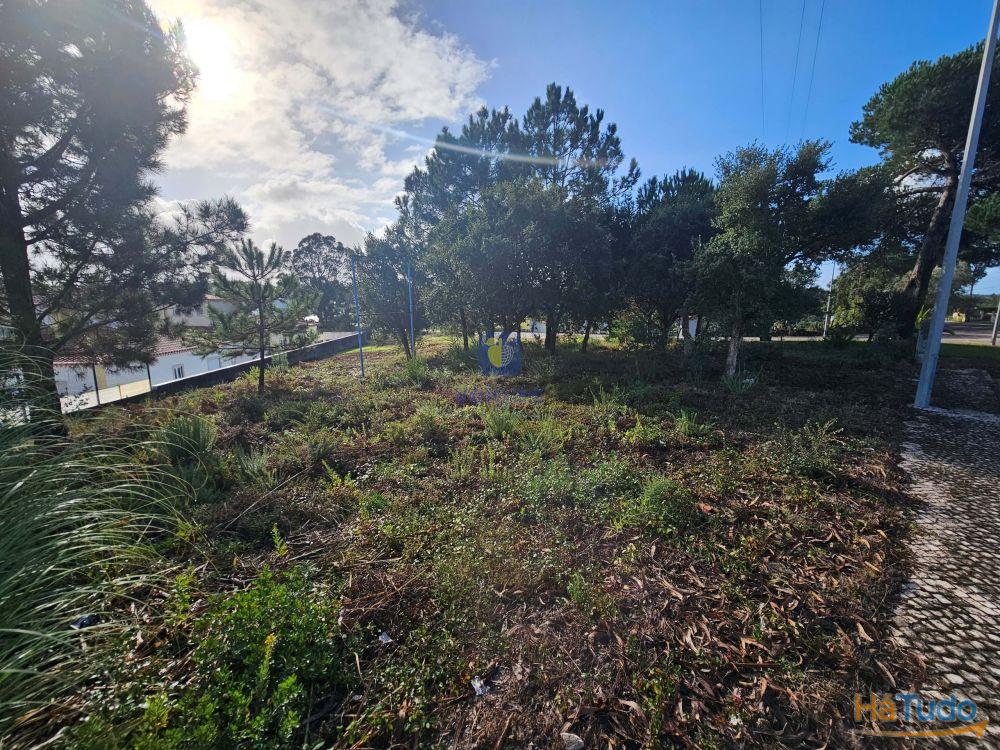 Terreno para construo no Nadadouro