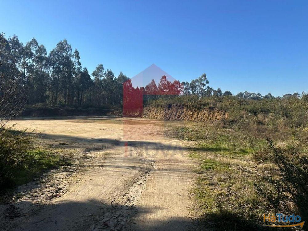 Terreno florestal, Lago