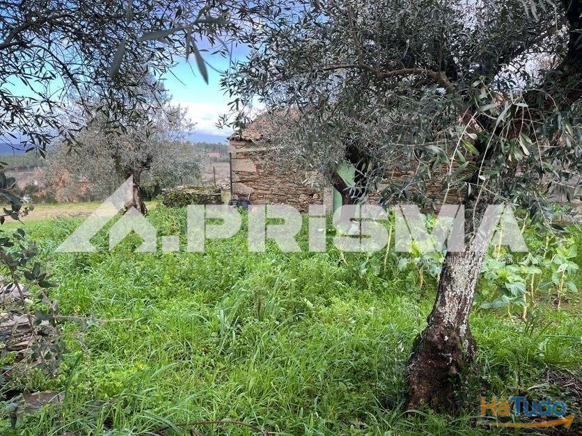 Terreno com construo em xisto para venda em Salgueiro do Campo
