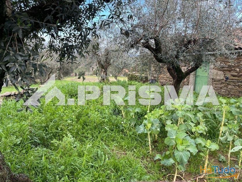 Terreno com construo em xisto para venda em Salgueiro do Campo