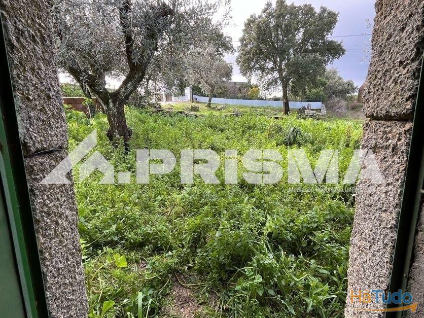 Terreno com construo em xisto para venda em Salgueiro do Campo