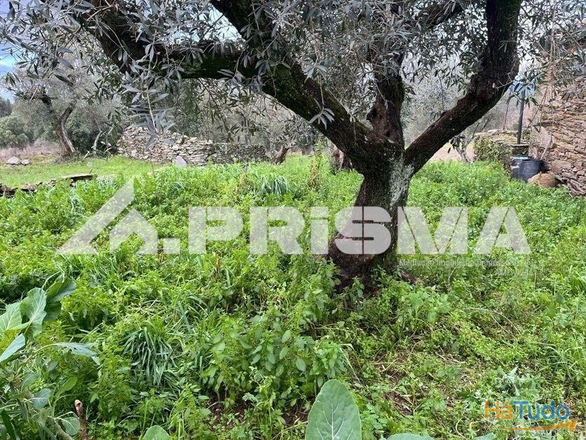 Terreno com construo em xisto para venda em Salgueiro do Campo