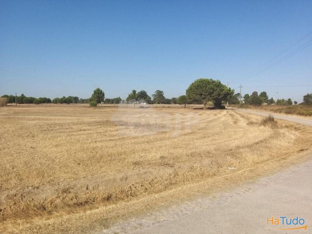 Terreno Rstico Poceiro