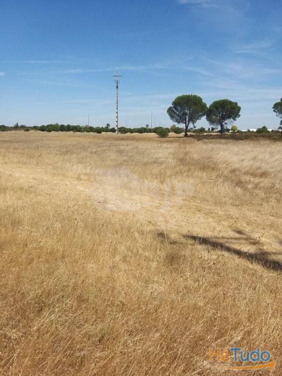 Terreno Rstico Poceiro