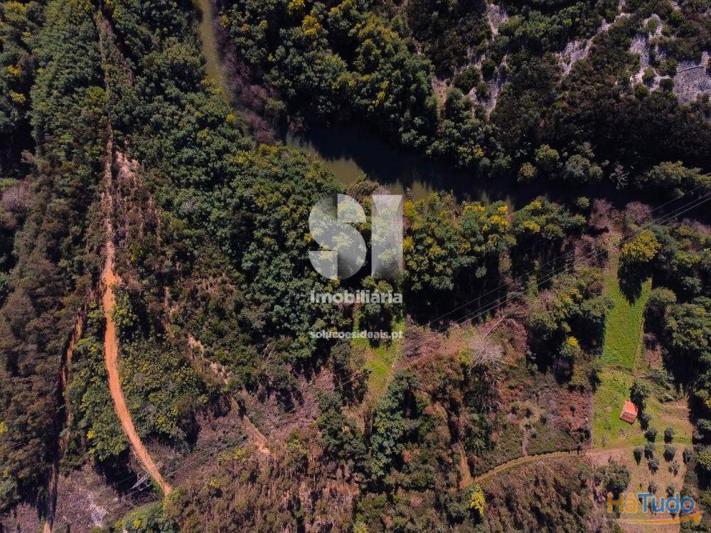 Terrenos junto ao Rio Alva