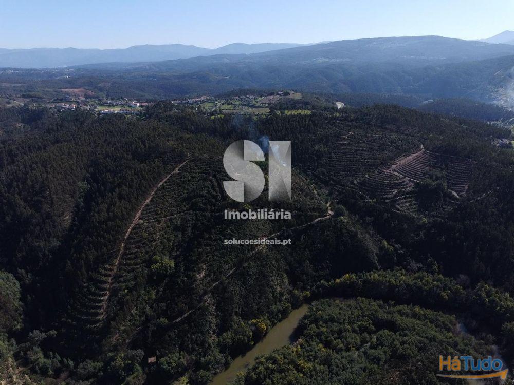 Terrenos junto ao Rio Alva