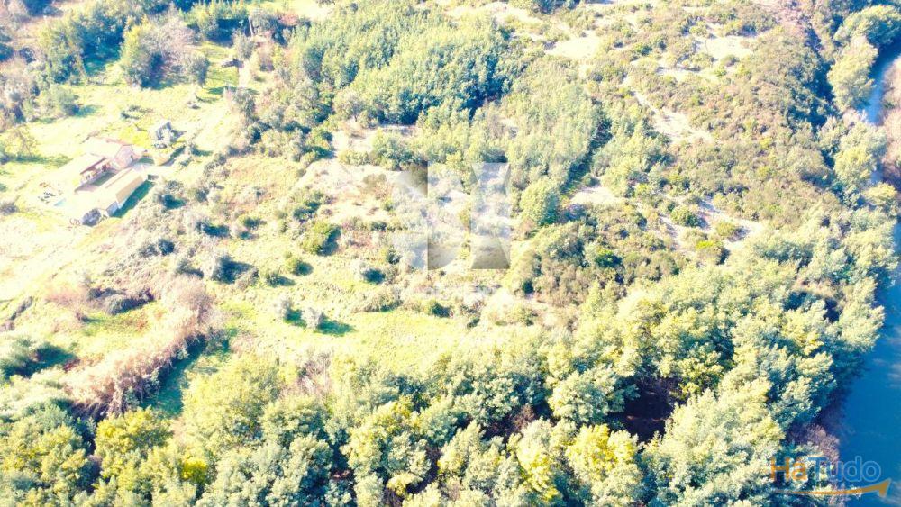 Terrenos junto ao Rio Alva