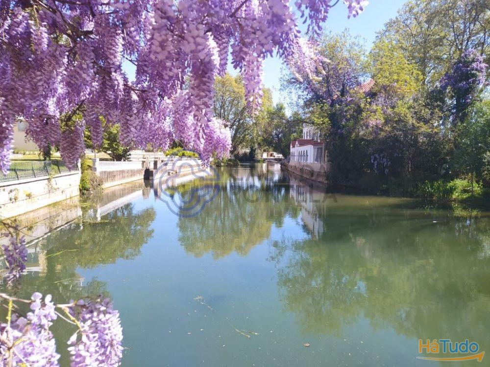 Moradia T3 a 15 minutos de Tomar, no Centro de Portugal Moradia T3 a 15 minutos de Tomar, no Centro de Portugal