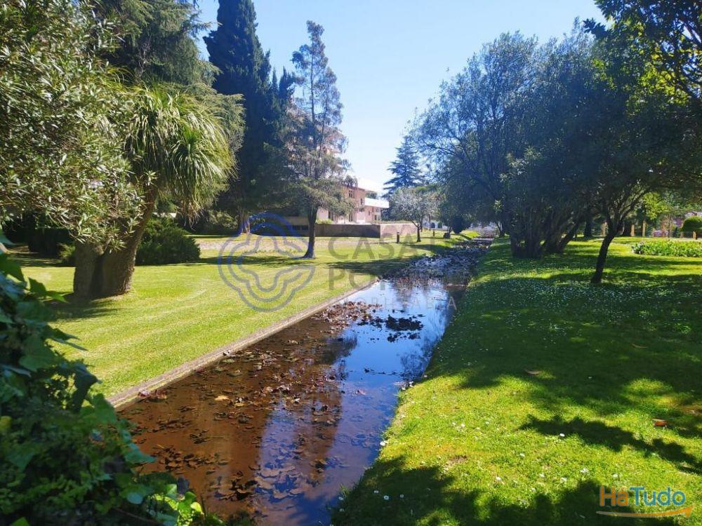 Moradia T3 a 15 minutos de Tomar, no Centro de Portugal Moradia T3 a 15 minutos de Tomar, no Centro de Portugal