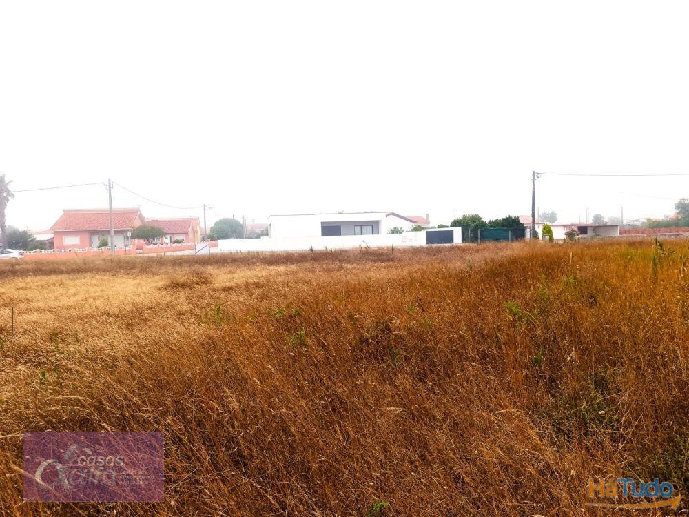 Terreno para construção em zona próxima de praia Terreno para construção em zona próxima de praia