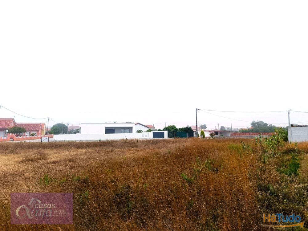 Terreno para construção em zona próxima de praia Terreno para construção em zona próxima de praia