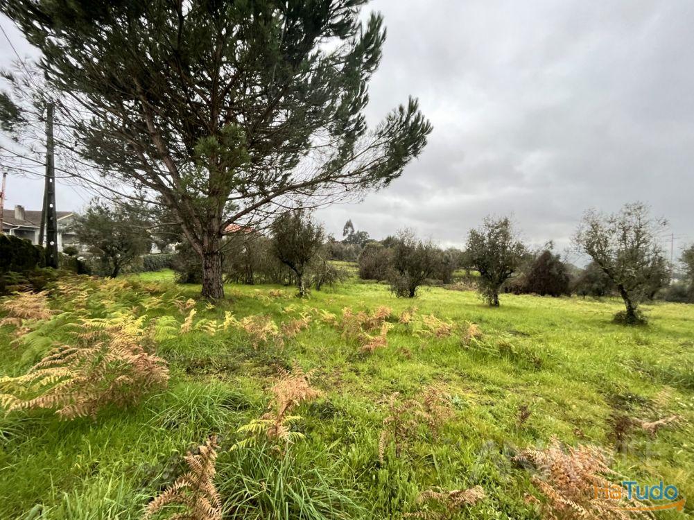 Terreno Venda em Silgueiros,Viseu Terreno Venda em Silgueiros,Viseu