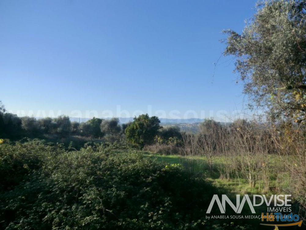 Terreno Venda em Silgueiros,Viseu Terreno Venda em Silgueiros,Viseu