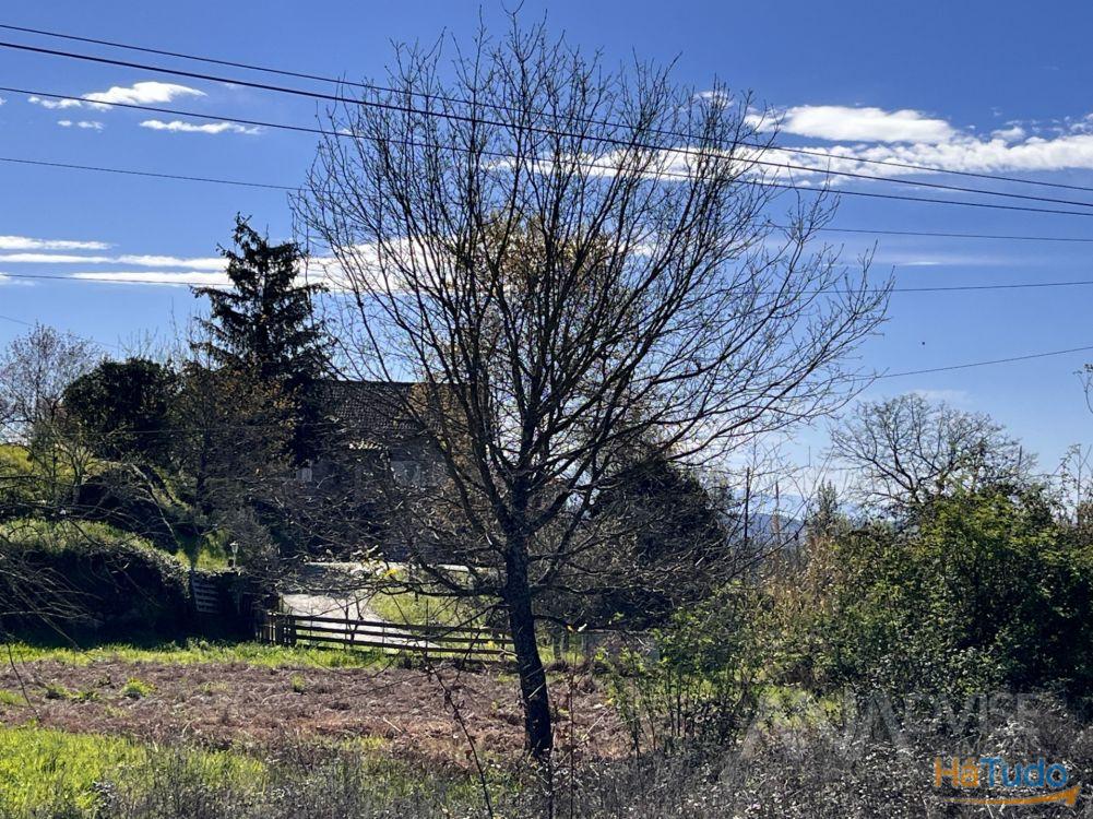 Lote de Terreno Venda em Rio de Loba,Viseu Lote de Terreno Venda em Rio de Loba,Viseu