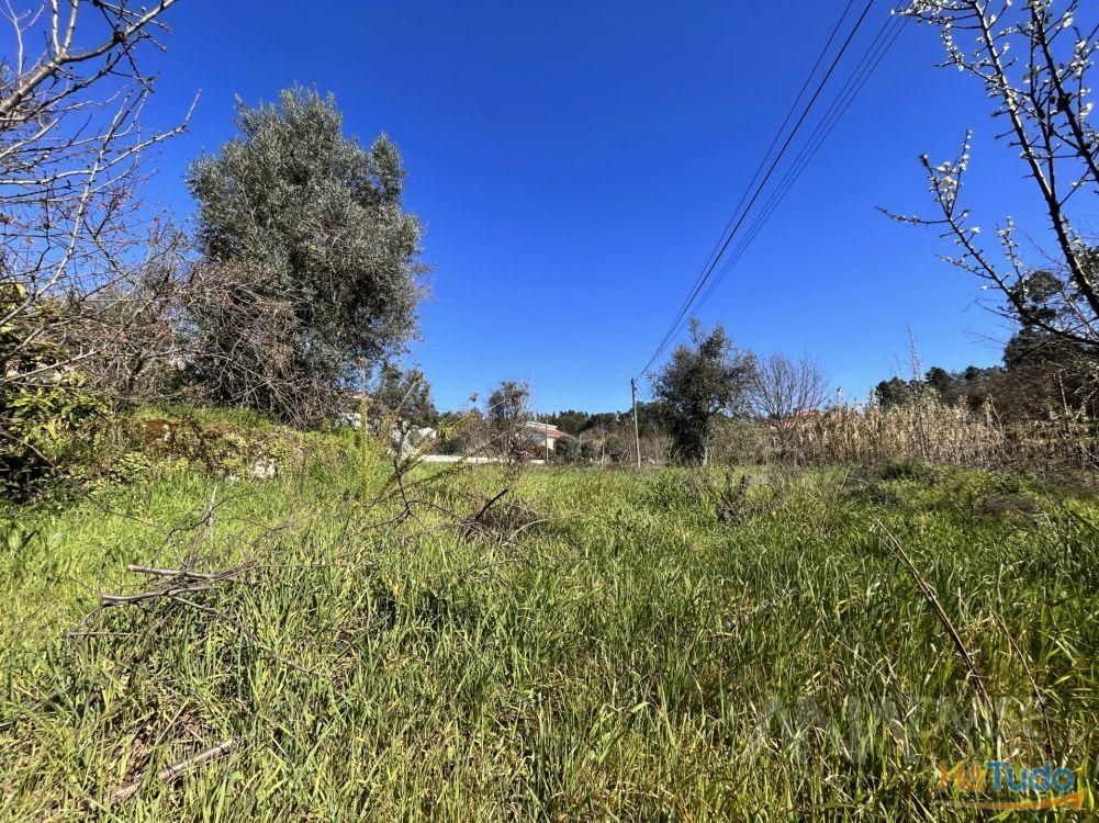 Lote de Terreno Venda em Rio de Loba,Viseu Lote de Terreno Venda em Rio de Loba,Viseu