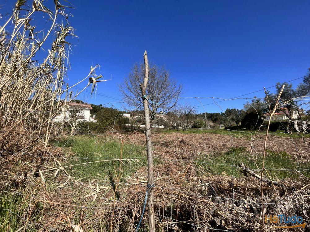 Lote de Terreno Venda em Rio de Loba,Viseu Lote de Terreno Venda em Rio de Loba,Viseu