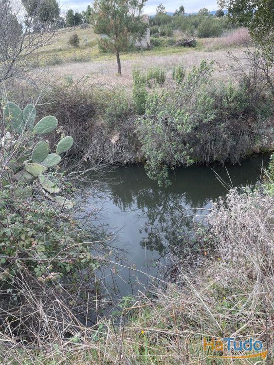Quinta com cerca de 1,4 Ha Quinta com cerca de 1,4 Ha