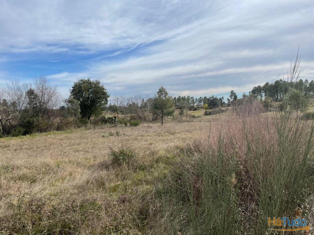 Quinta com cerca de 1,4 Ha Quinta com cerca de 1,4 Ha