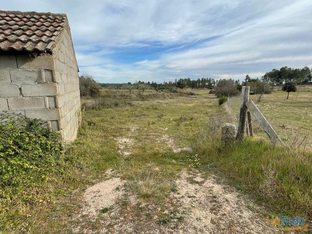 Quinta com cerca de 1,4 Ha Quinta com cerca de 1,4 Ha