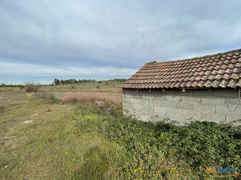 Quinta com cerca de 1,4 Ha Quinta com cerca de 1,4 Ha