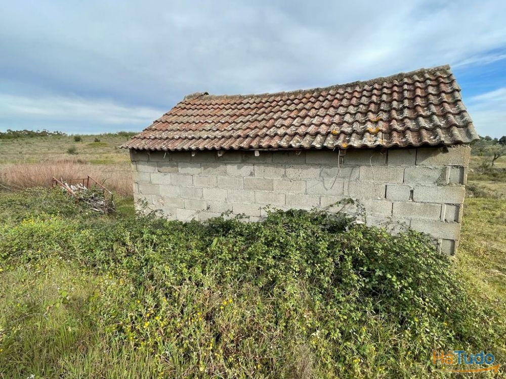 Quinta com cerca de 1,4 Ha Quinta com cerca de 1,4 Ha