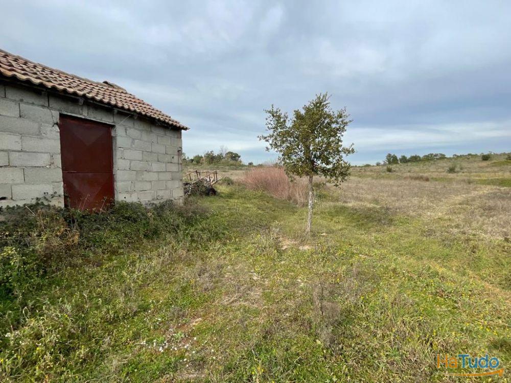 Quinta com cerca de 1,4 Ha Quinta com cerca de 1,4 Ha
