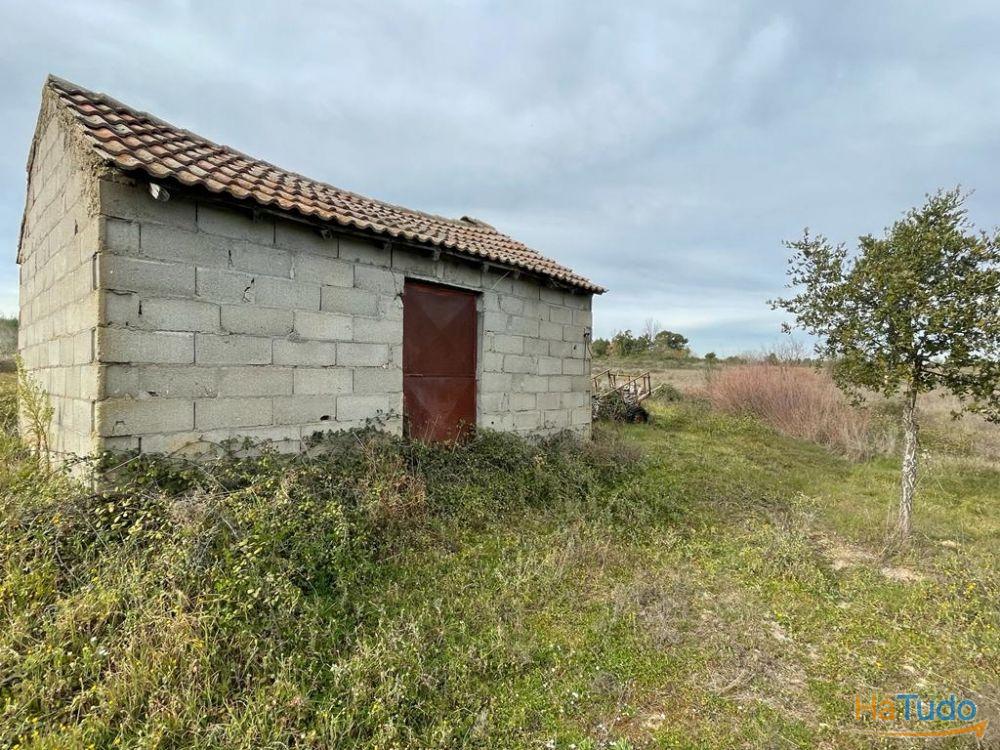 Quinta com cerca de 1,4 Ha Quinta com cerca de 1,4 Ha